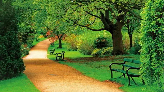 Taman