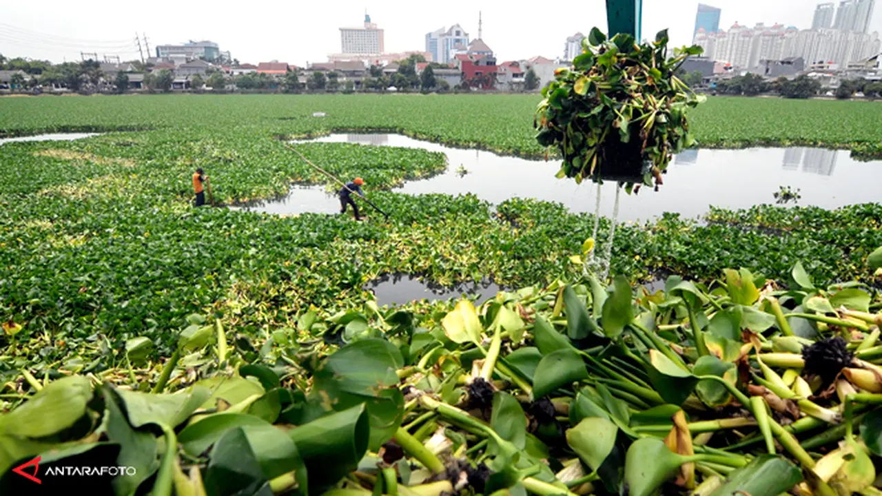 tomang-waduk-131001b.jpg