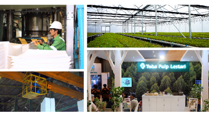 PT Toba Pulp Lestari Milik Siapa? Ternyata Didirikan Miliarder Indonesia