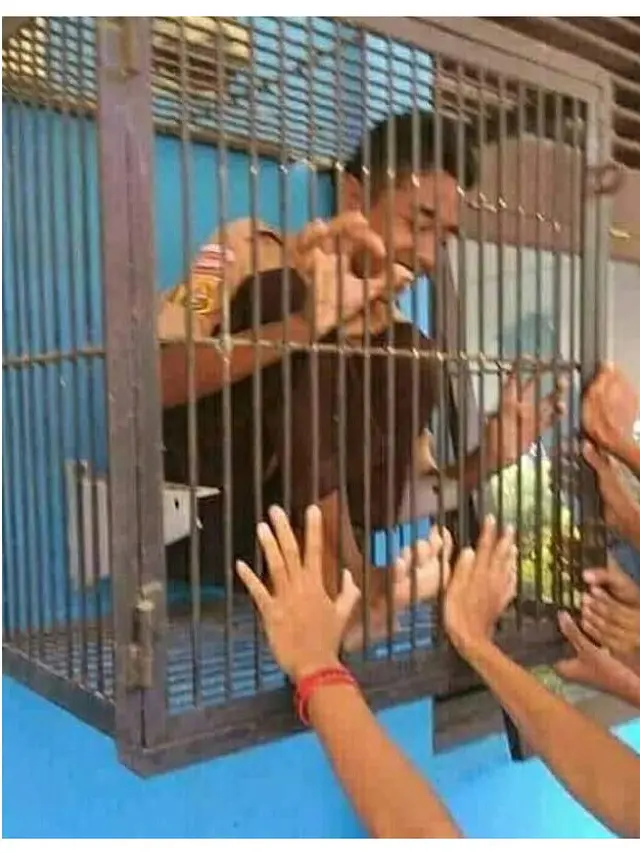 Kelakuan Kocak Orang Saat di Kandang Hewan Ini Bikin Tepuk Jidat
