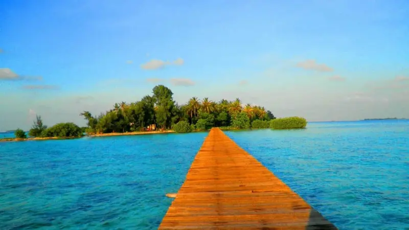 Pulau cangkir