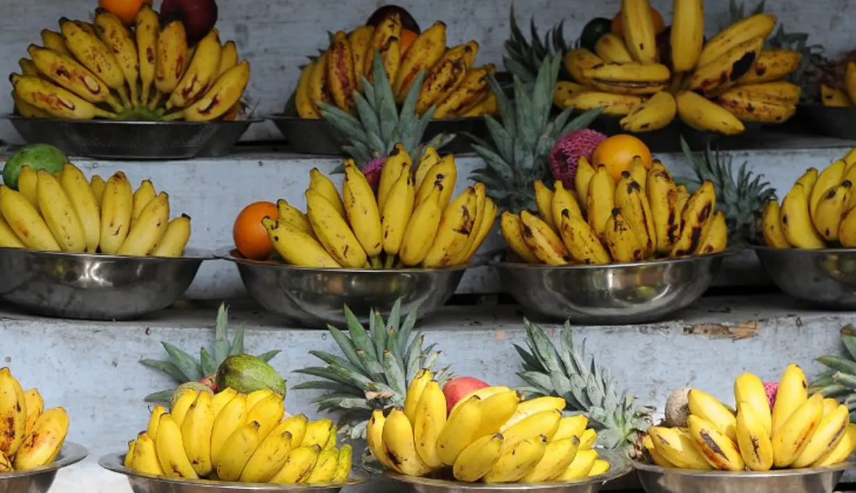 Buah pisang memiliki kalori yang cukup tinggi dan menyediakan stamina, energi, dan potasium yang cukup baik bagi tubuh Anda. Sebaiknya Anda yang ingin menambah berat badan sedapat mungkin sering mengkonsumsi buah pisang. (AFP PHOTO/LAKRUWAN WANNIARACHCHI)