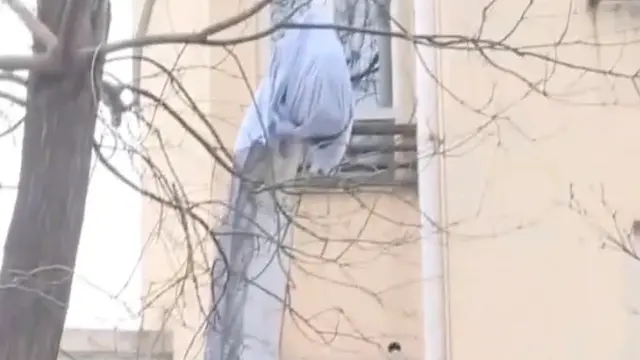 Patung Dinosaurus Raksasa