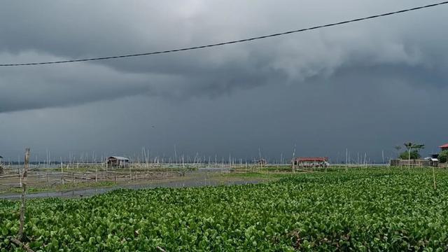 BMKG: Bibit Siklon 92S Masih jadi Pemicu Cuaca Ekstrem di Sumatera dan Jawa