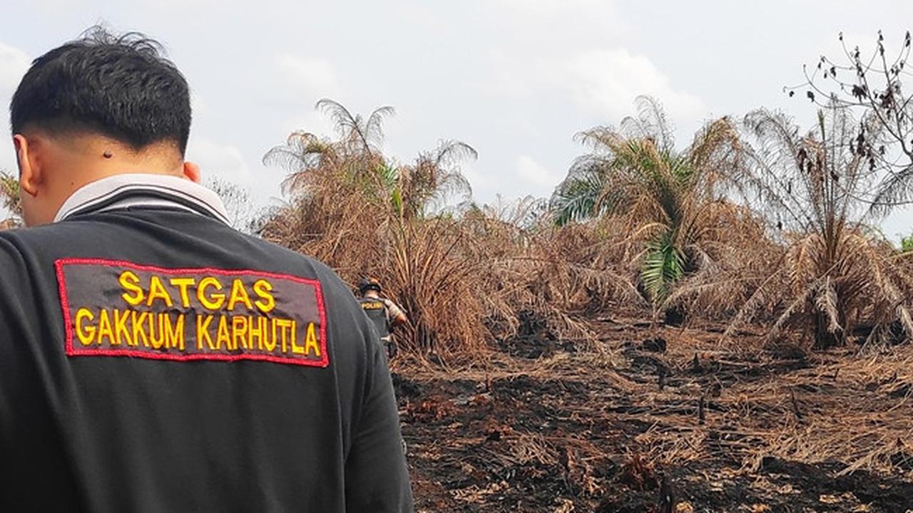Penyidik Reskrimsus Polda Riau saat melakukan olah tempat kejadian perkara di lahan perusahaan yang terbakar.