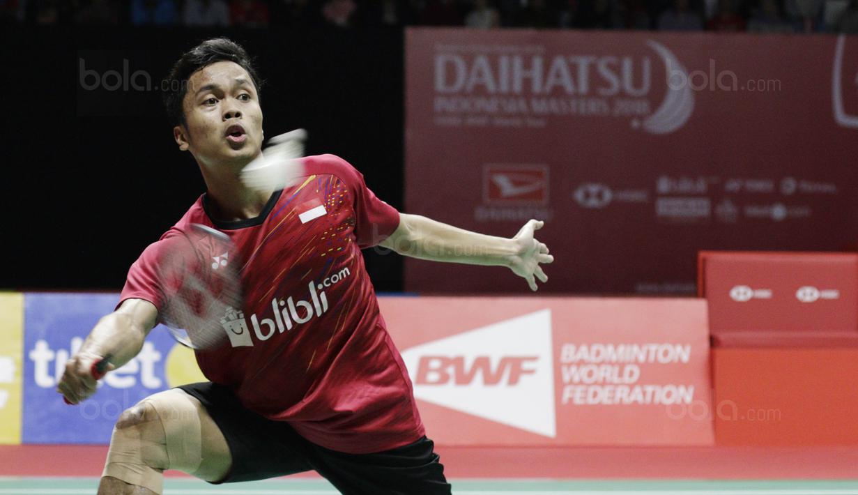 Tunggal putra Indonesia, Anthony Ginting, saat melawan wakil Taiwan, Chou Tien Chen, pada laga semifinal Indonesia Masters 2018 di Istora Senayan, Sabtu (27/1/2018). Anthony Ginting menang 21-16, 13-21, dan 21-12. (Bola.com/M Iqbal Ichsan)