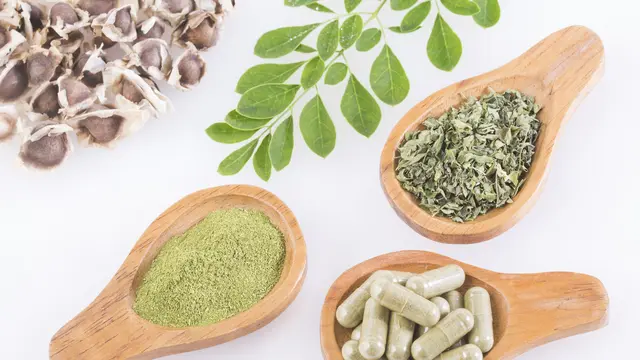 Manfaat Daun Kelor untuk Anak