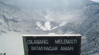 Area Kawah Ratu di kawasan wisata Gunung Tangkuban Parahu menunjukkan aktivitas vulkanologi normal pada Minggu (28/7/2019). (Liputan6.com/Huyogo Simbolon)