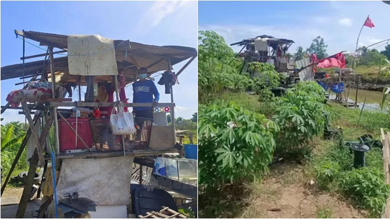 3 Tahun Tak Mampu Bayar Sewa, Pasangan Lansia Ini Bangun Gubuk dari Bahan Daur Ulang