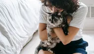 Cara Kucing Memilih Orang yang Disukainya, Ternyata Bukan Sekadar Soal Siapa yang Memberi Makan