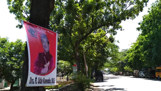 Di Balik Seruan Jangan Pilih Calon Kepala Daerah Pemaku Pohon 