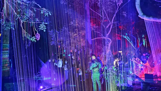 Telkomsel menjadi connectivity partner dari Hutan Menyala Taman Hutan Raya. Liputan6.com/Giovani Dio Prasasti