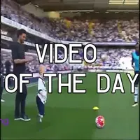 Video of the Day