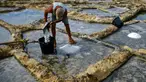 Alfred Attard mengumpulkan garam laut dari dataran garam dengan pematang batu di sebuah desa di Gozo, Malta, pada 7 September 2020. Dikelilingi seluruhnya oleh laut, Malta merupakan salah satu produsen besar garam laut yang dihasilkan dari dataran garam berpematang batu. (Xinhua/Jonathan Borg)