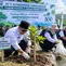 Hadapi Perubahan Iklim, Serang Perkuat Konservasi Lingkungan
