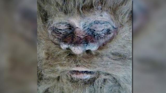 58+ Foto Penampakan Yeti Dan Bigfoot Terbaru