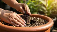 10 Tanaman Sayur yang Cocok Ditanam di Pot dan Bisa Dipanen Jangka Panjang