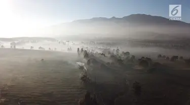 Cuaca dingin yang terjadi di Bandung membuat kebun teh milik petani menjadi rusak.