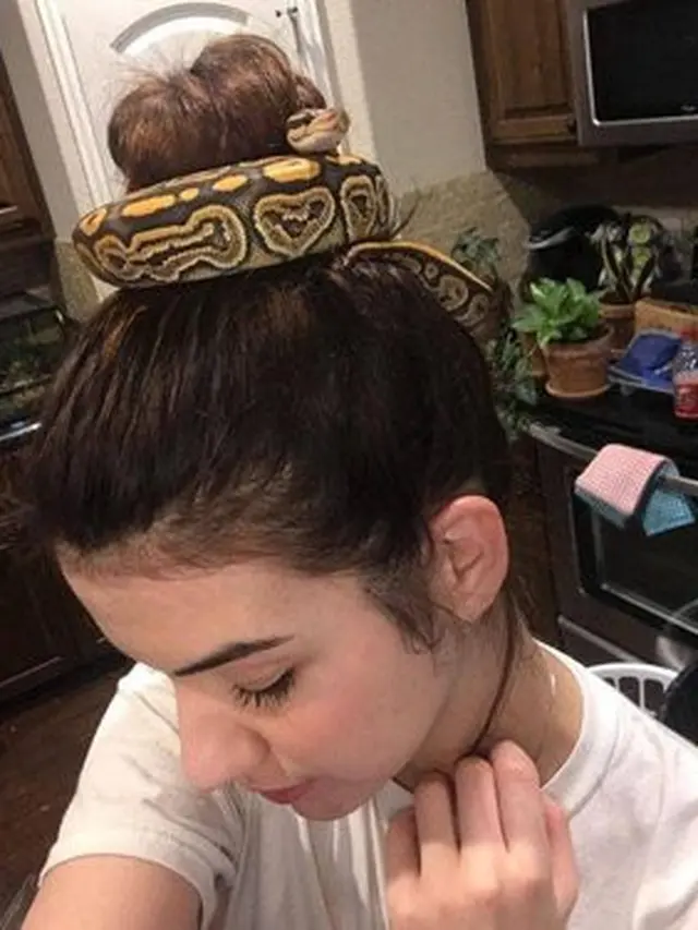 6 Potret Ikat Rambut dari Ular Ini Bikin Bergidik, Ngeri Banget