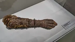 Instalasi seni oleh Sophie Barata berjudul "Wooden Arm with Secret Compartments" dipajang di museum Art Science, Singapura, Kamis (18/5). Pameran futuristik ini adalah karya dari 40 lebih seniman internasional. (AFP FOTO / ROSLAN RAHMAN)