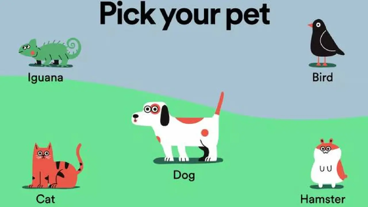 Spotify Pet Playlist