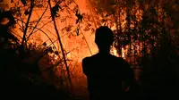 Petugas pemadam kebakaran memadamkan api saat kebakaran hutan dan lahan (karhutla) di Pekanbaru, Riau, Jumat (13/9/2019). Karhutla menyebabkan kualitas udara pada level berbahaya. (ADEK BERRY/AFP)