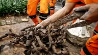 Ada Korupsi di Balik Kasus Tumpukan Kulit Kabel Dekat Istana?
