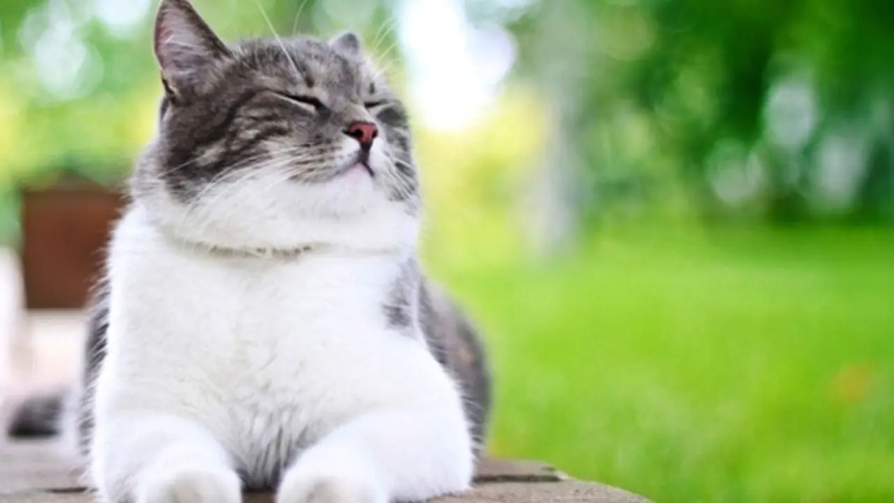 Photo: Copyright Thinkstockphotos.com