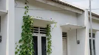 10 Model Rumah Sederhana Cat Putih di Perumahan Subsidi, Minimalis &amp; Estetik
