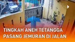 Dalam kehidupan sosial bertetangga, tak jarang ditemui sifat yang tidak wajar. Seperti yang viral baru-baru ini. CCTV merekam tingkah aneh tetangga yang merepotkan warga.