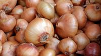 Ilustrasi bawang bombai. (Photo by Couleur on Pixabay)