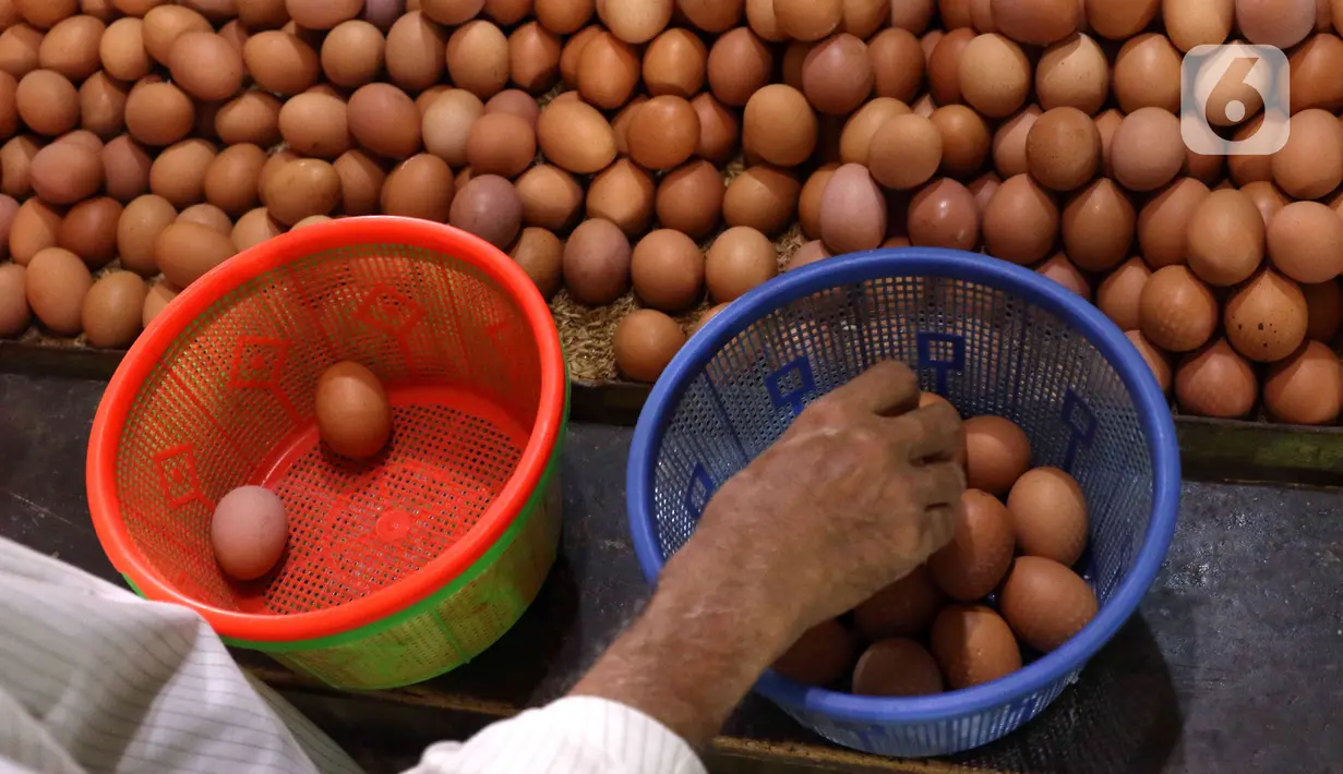 Pembeli memilih telur ayam di Pasar Kelapa Dua, Kabupaten Tangerang, Banten, Rabu (29/12/2021). Kementerian Perdagangan mencatat meroketnya harga telur ayam di sejumlah wilayah jelang pergantian tahun. (Liputan6.com/Angga Yuniar)