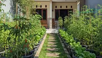 6 Tips Memilih Sayuran yang Bisa Dipanen Berkali-Kali dari Satu Kali Tanam