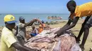 Daging hiu yang telah dipotong siap untuk dijemur, Pantai Mballing, Dakar, Senegal (1/4/2016). Daging hiu biasanya dikonsumsi, dijual di pasar lokal, hingga diekspor ke negara tetangga. (AFP Photo/Seyllou)