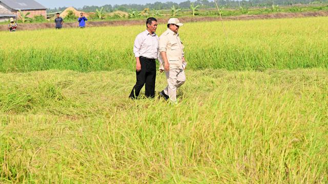 Presiden Prabowo Subianto dan Mentan Amran Sulaiman meninjau langsung proses tanam dan panen padi di Desa Telaga Sari, Distrik Kurik, Kabupaten Merauke.