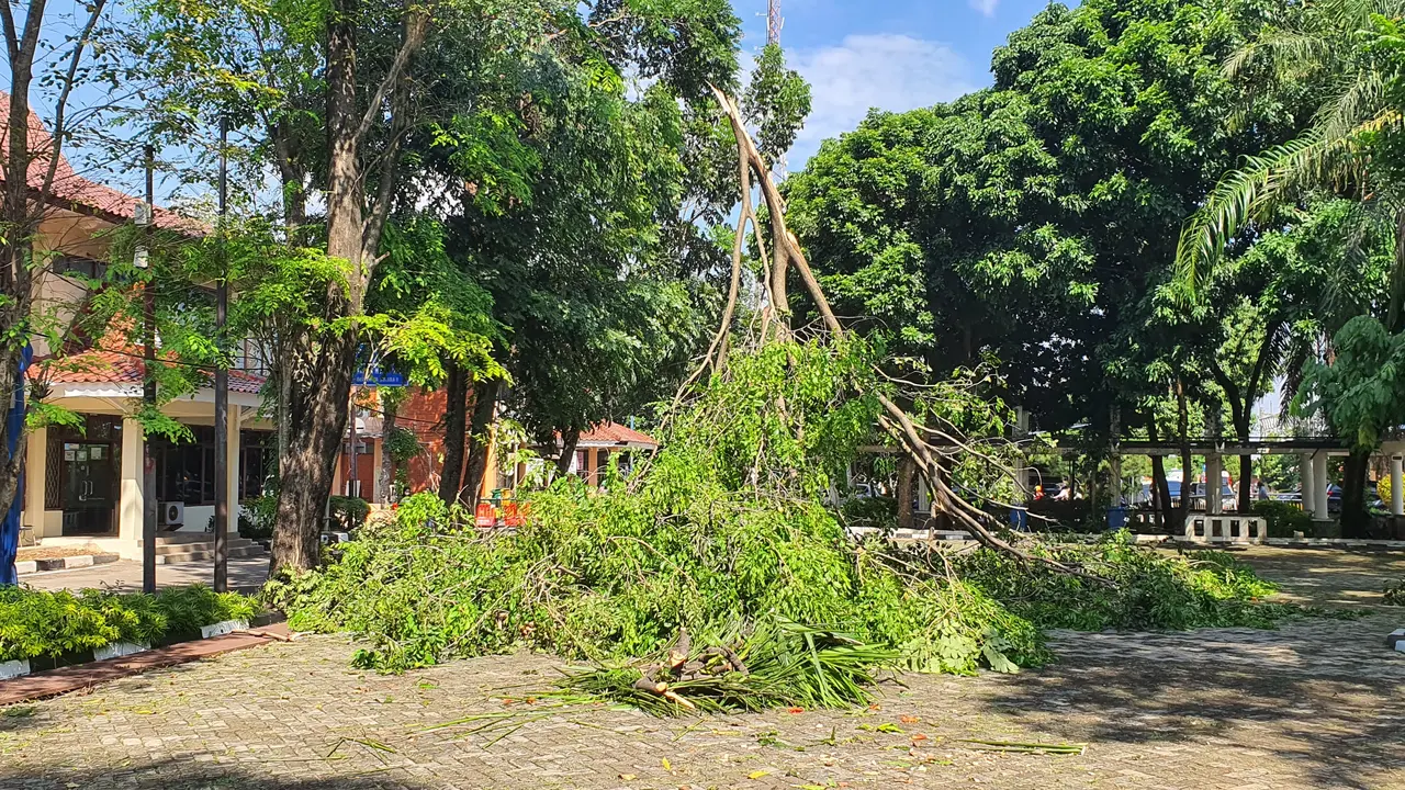Pohon tumbang di kantor Balai Kota Depok akibat terjangan angin puting beliung.