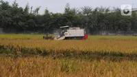 BPS Sebut 4 Komoditas Dominan Ini Dorong Nilai Tukar Petani Jadi Melesat