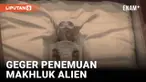 Kongres Meksiko dikagetkan dengan presentasi soal penemuan makhluk yang diyakini sebagai jenazah Alien. Jumlahnya ada dua, ditemukan di gurun pasir Peru. Benarkah makhluk tersebut adalah alien yang diawetkan?