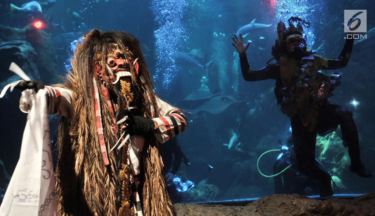Atraksi barongan dalam air menghibur pengunjung di akuarium SeaWorld Ancol, Jakarta, Senin (4/3). Pertunjukan budaya Barongan dalam air berlangsung pada 7-10 Maret dan dilanjutkan 16-17 Maret 2019. (merdeka.com/Iqbal Nugroho)