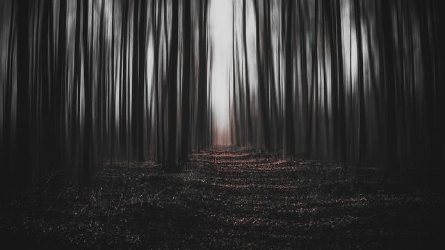 Kepribadian Jalanan Hutan