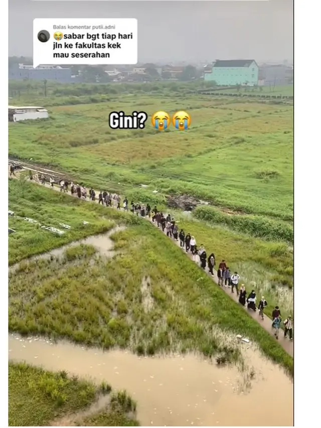 Viral Puluhan Mahasiswa Berangkat Kuliah Lewati Sawah, Kampus Dekat Masjid Al Jabbar