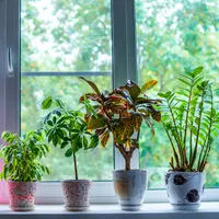 ilustrasi/copyright shutterstock