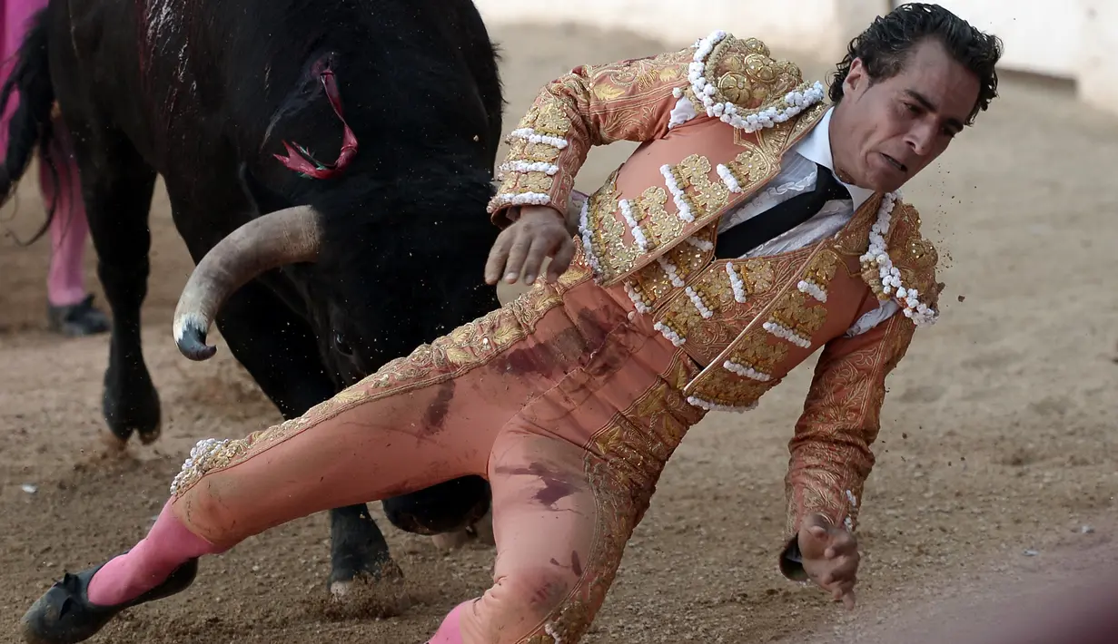 Seorang matador, Ivan Fandino ditanduk oleh banteng lawannya saat tampil dalam sebuah arena di Mont-de-Marsan, Prancis barat daya, Sabtu (17/6). Fandino tak kuasa menghindar dari tandukan banteng setelah tersandung kain jubahnya sendiri. (IROZ GAIZKA/AFP)