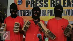 Tiga tersangka menunjukan barang bukti ganja kering pada gelar barang bukti narkotika di Polda DIY, Yogyakarta, Jumat (12/2/2016). Puluhan paket ganja kering yang siap di edarkan berhasil di sita pada gelar perkara tersebut. (Liputan6.com/Boy Harjanto)