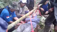 Proses evakuasi korban dari belantara hutan Gunung Slamet, Banyumas. Setelah tersesat 4 hari, tubuhnya dipenuhi lintah. (Foto: Liputan6.com/Muhamad Ridlo/Tagana Banyumas)