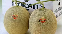 Percayakah Anda bila sepasang buah melon dapat terjual hingga seharga sebuah rumah? Ini terjadi di Jepang.