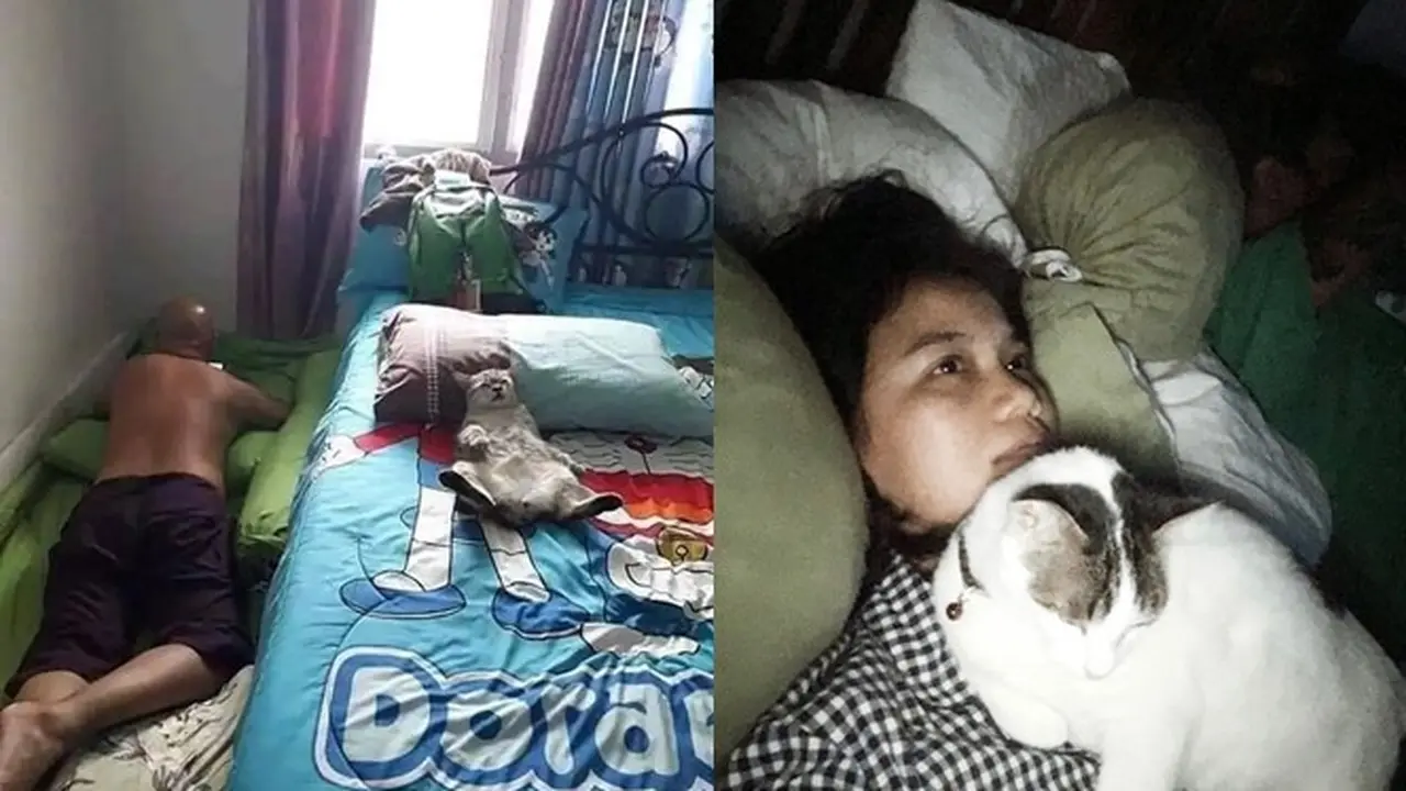 6 Potret Orang Terpaksa Mengalah Dari Kucing Ini Bikin Senyum