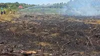 kebakaran lahan di salah satu lahan kosong di daerah Kecamatan Kabat Banyuwangi beberapa waktu lalu (Istimewa)