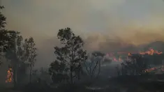 Api berkobar di Gunung Penteli, Selasa (19/7/2022). Di Yunani, ratusan orang diperintahkan meninggalkan rumah mereka setelah kebakaran hutan besar terjadi di timur laut Athena, yang ditiup angin kencang. (AP Photo/Thanassis Stavrakis)