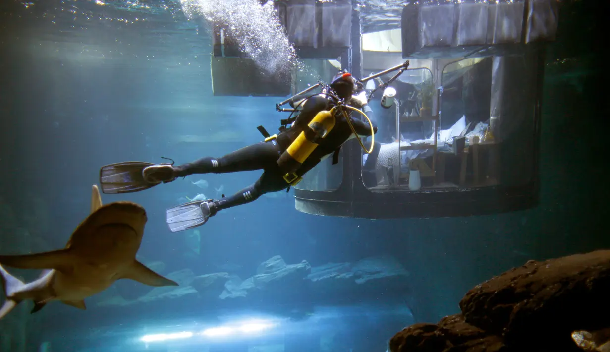 Seorang penyelam mengambil gambar pengunjung yang tengah melihat kawanan hiu dari sebuah kamar saat menginap di hotel bawah air Aquarium of Paris, Prancis, 14 Maret 2016. (REUTERS/Charles Platiau)